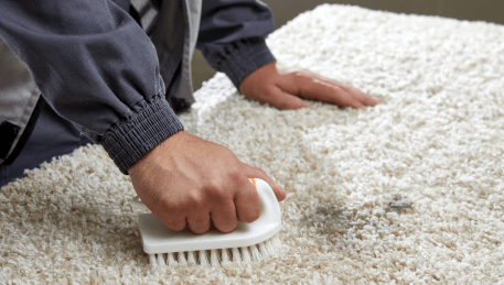 Professional Rug Cleaning Dunnstown